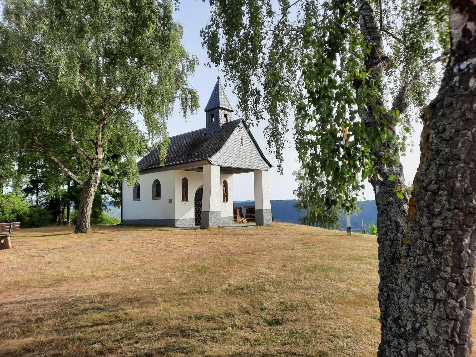 Biggi Apartman Trittenheim Kültér fotó